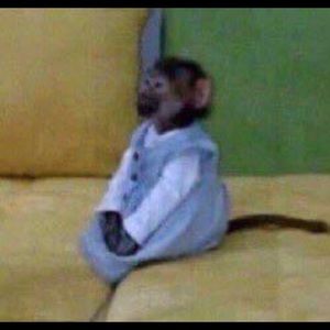 Meet your Posher, Jasmin